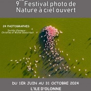 Festival ciel ouvert