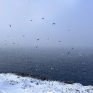 Terre sauvage : le Varanger